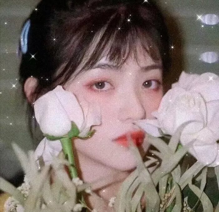 我的至亲恶党